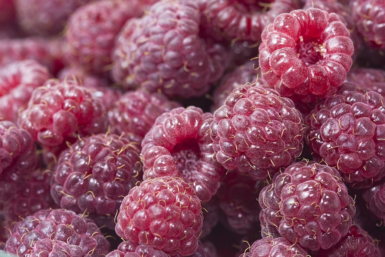 Texture ravvicinata di lamponi maturi e delle loro piccole drupe